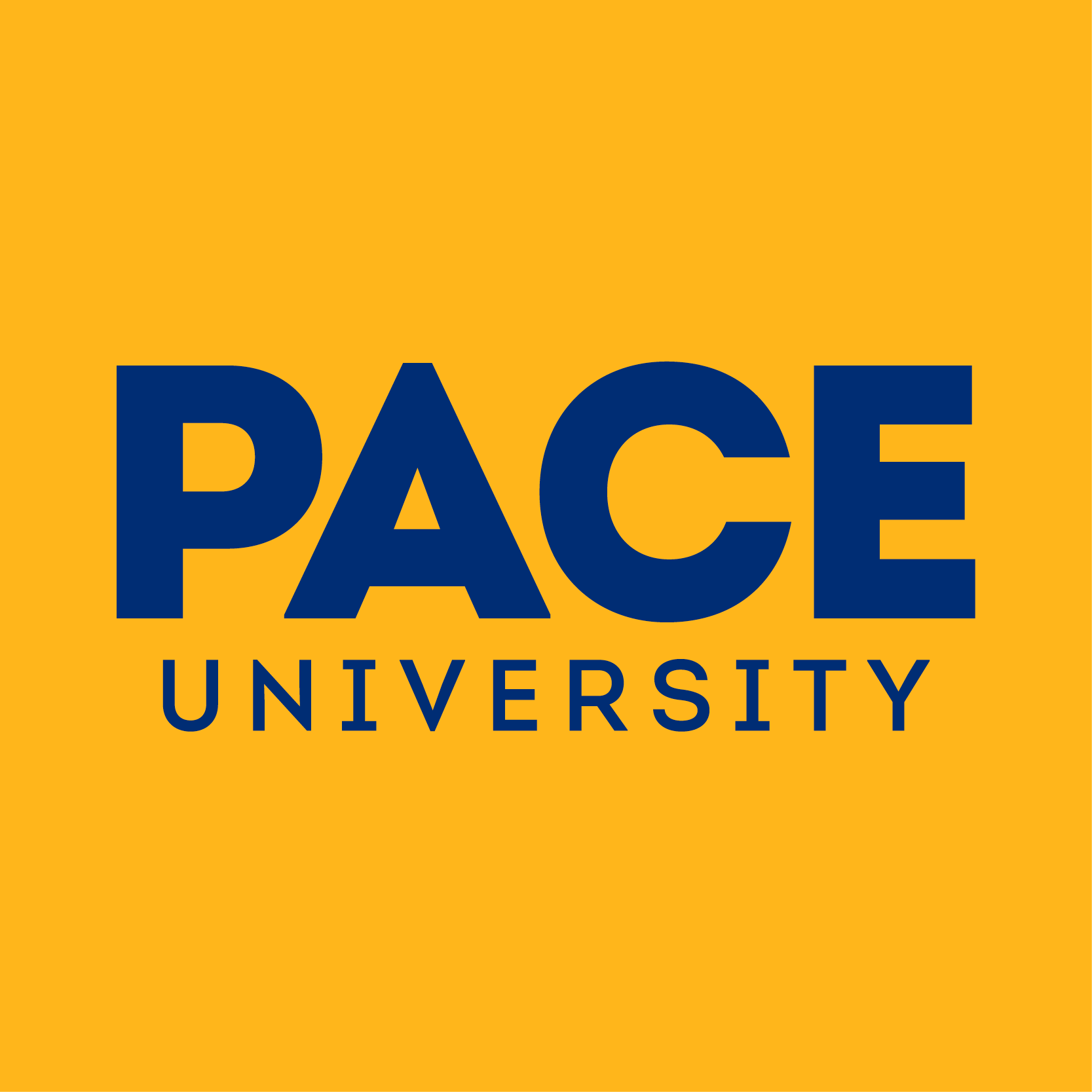 Pace University Graduate Programs Online